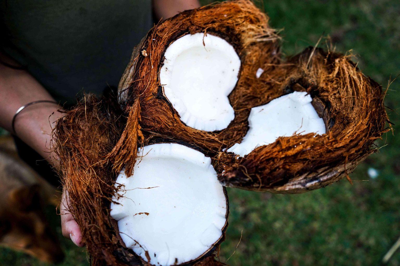 coconut-oil-benefits