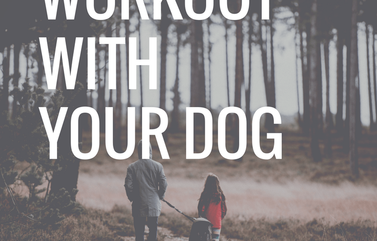 teachworkoutlove.com