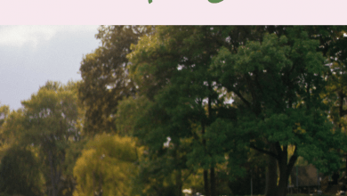 teachworkoutlove.com