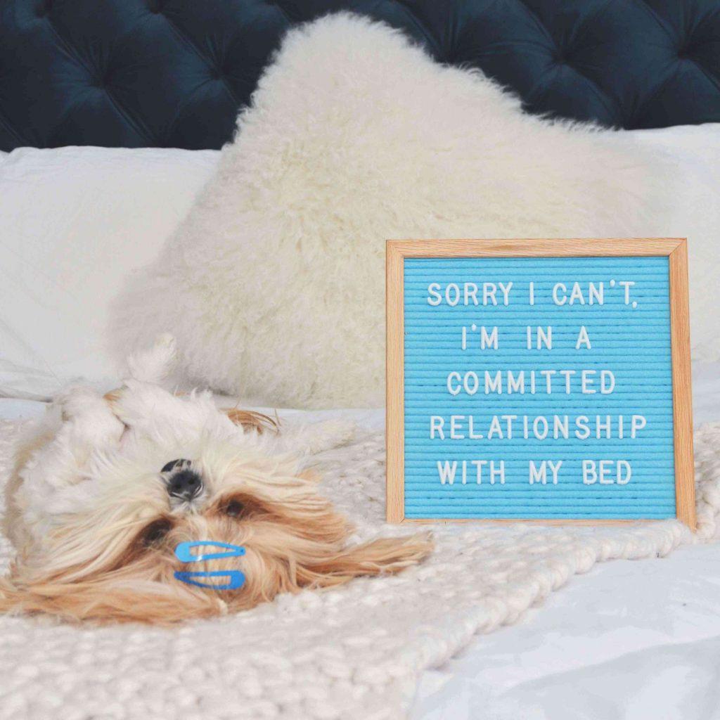 blue-letter-board-with-dog-relationship-announcement-teachworkoutlove.com