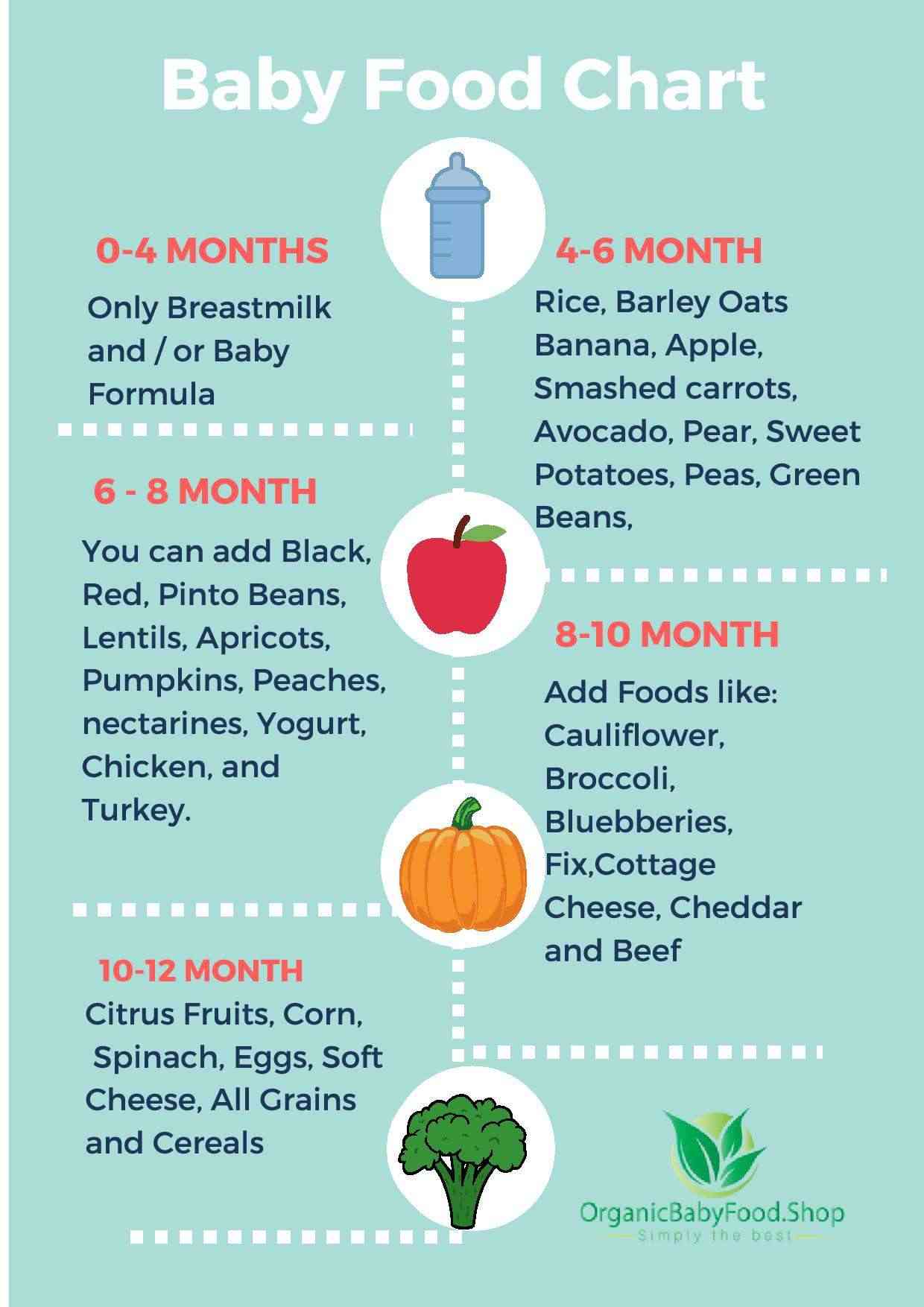 baby-food-chart-teachworkoutlove.com