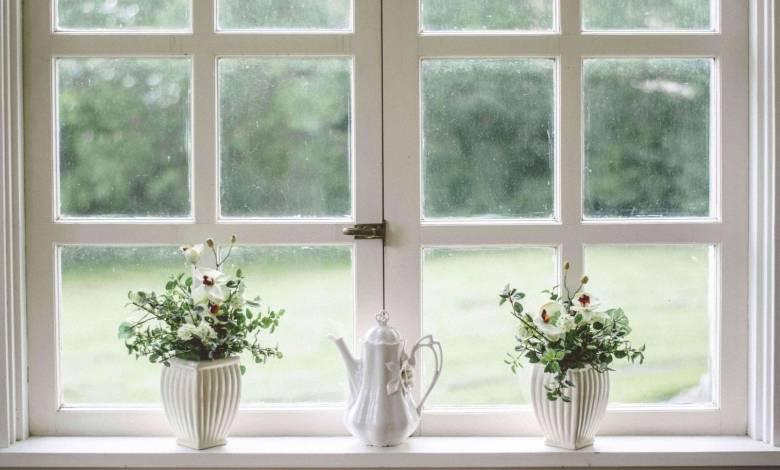 clean-window-sill-with-flowers-teachworkoutlove.com