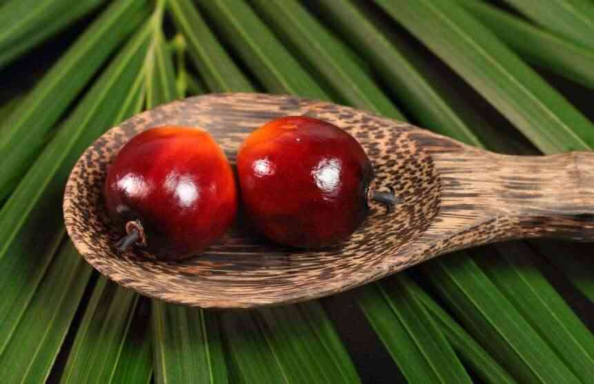 How To Cook Healthy Foods Using Palm Oil For Your Family