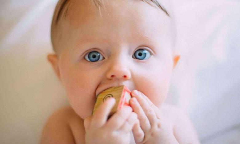 baby-with-organic-block