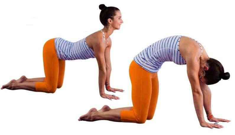 Bitilasana-Marjaryasana-yoga-move