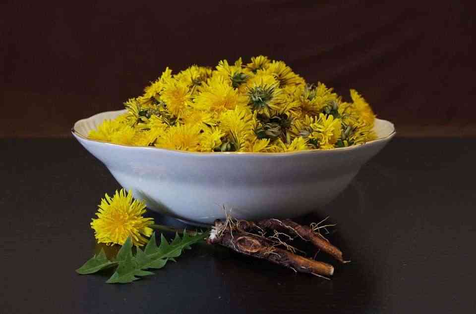 best-detox-foods-dandelion-roots