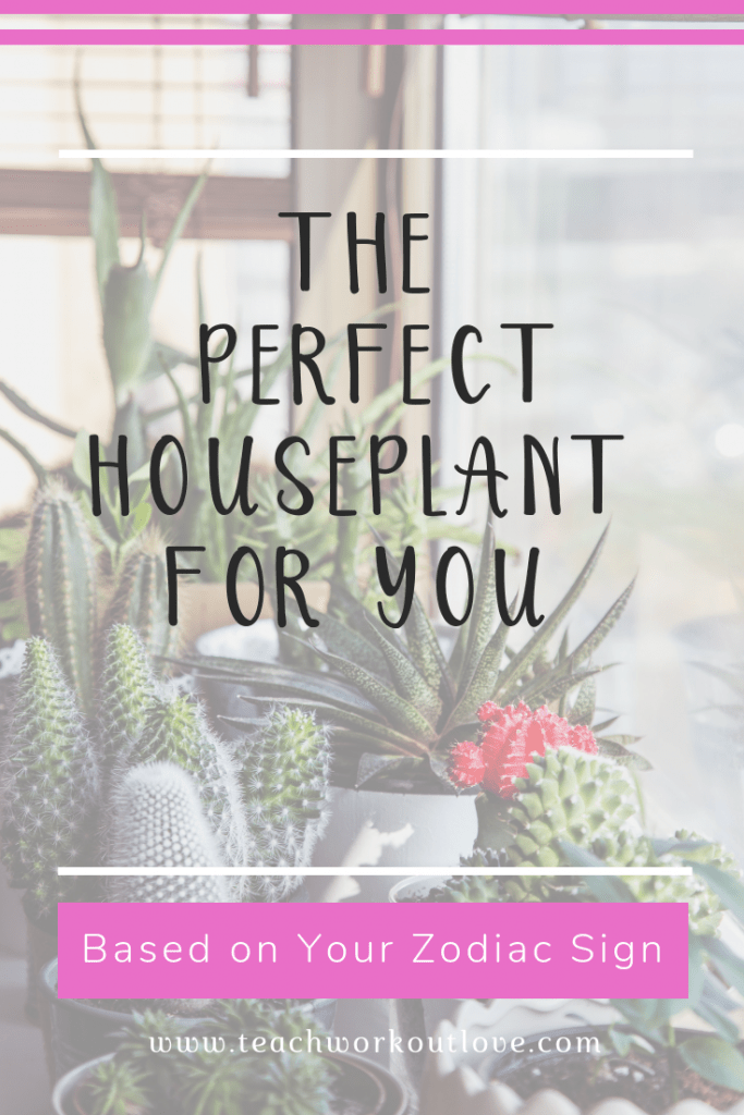 The Perfect Houseplants For You Based on Zodiac Sign | T.W.L