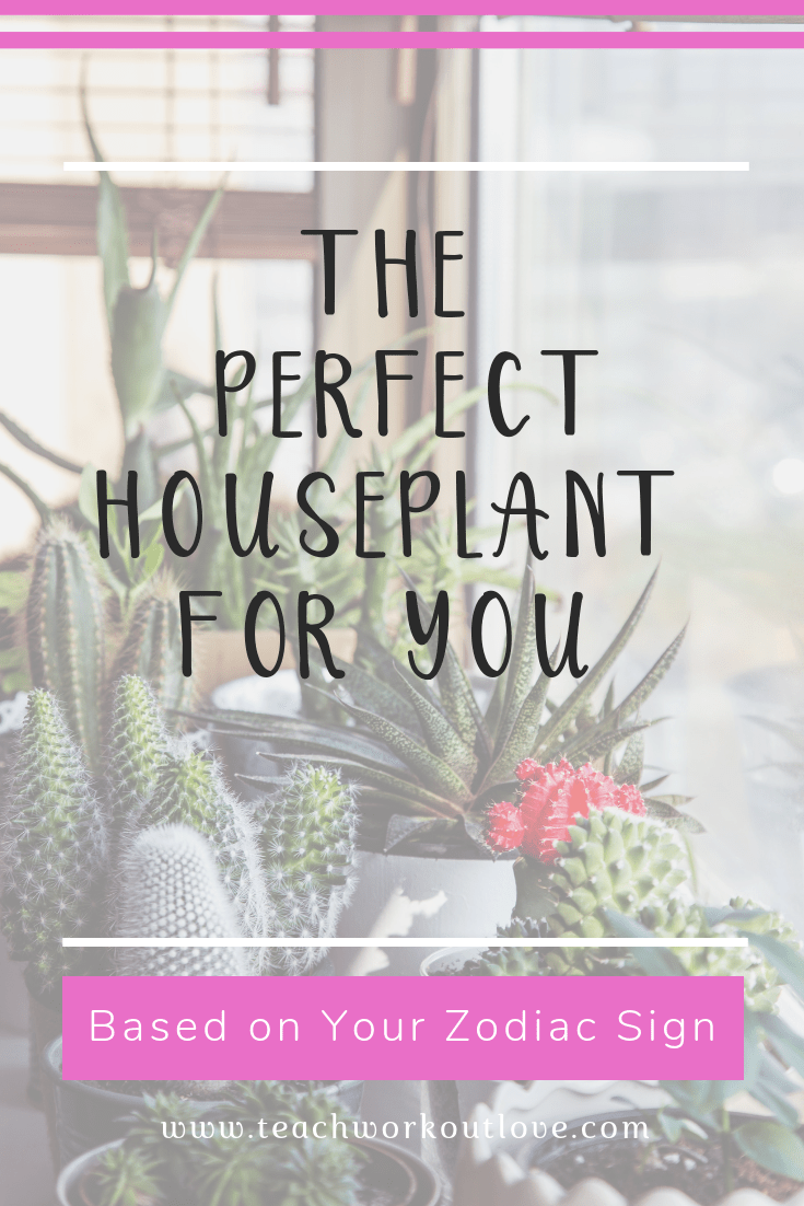 Houseplants help us have beautiful and healthful homes. Instead of trying-and-buying, why don’t you turn to your zodiac sign to guide you?