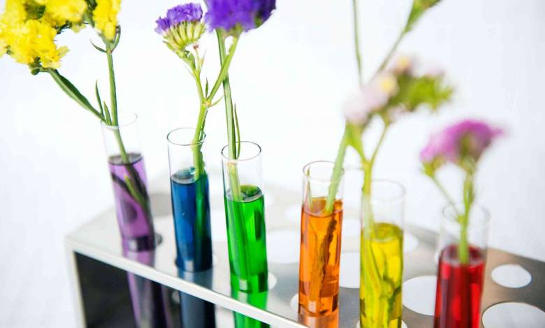 get-your-child-to-love-science