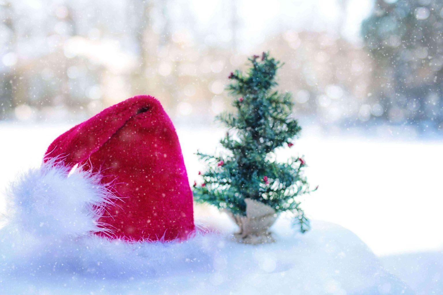 How To Turn Your Backyard Into A Magical Christmas Retreat