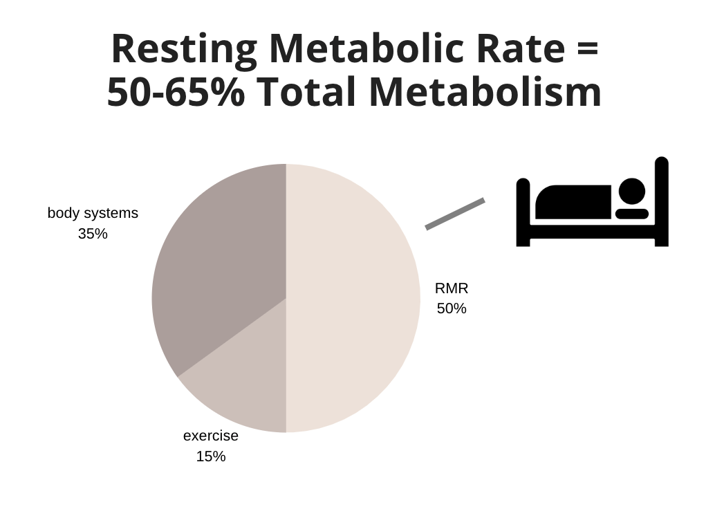 total metabolism breakdown