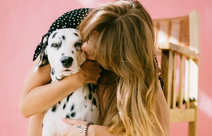 10 Most Effective Ways to Keep Your Home Pet Hair Free