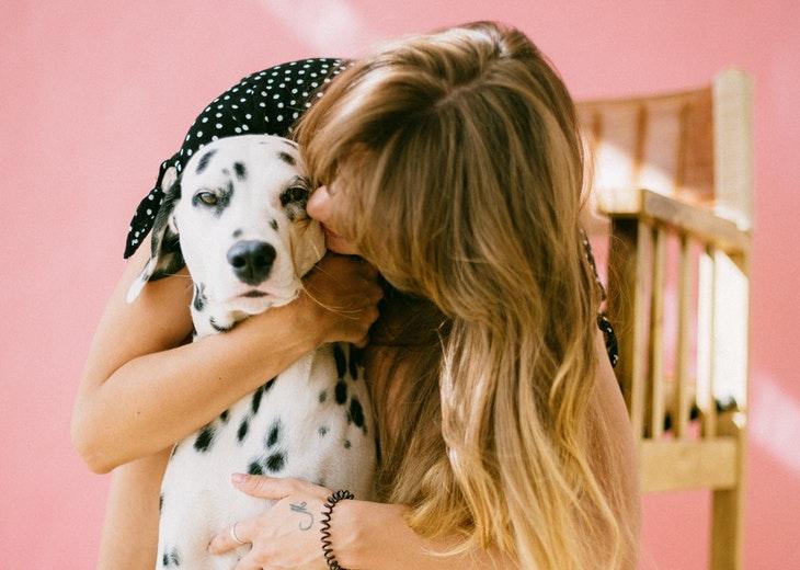 10 Most Effective Ways to Keep Your Home Pet Hair Free