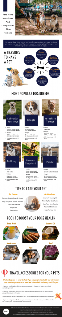 Smart Dog Lover