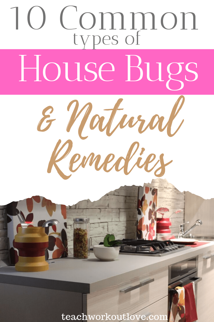 10-common-house-bugs-and-natural-remedies-teachworkoutlove.com-TWL-Working-Moms