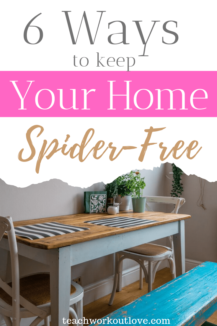 6-ways-to-keep-your-home-spider-free-teachworkoutlove.com-TWL-Working-Moms