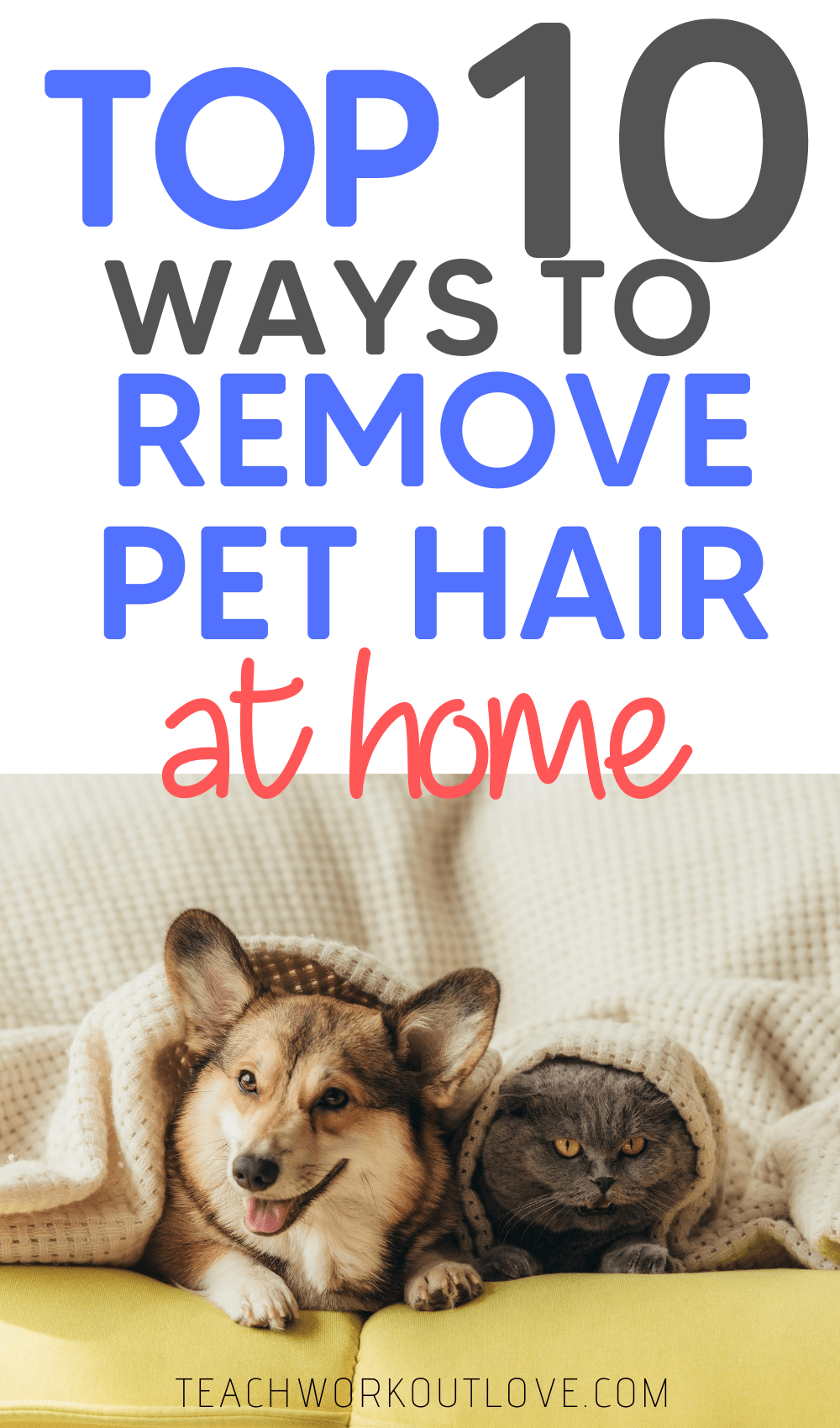 If you’re a pet owner, you know how annoying shedding can be. In this article we provide the 10 most effective ways to be pet hair free at home.