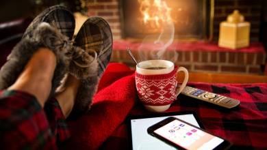 Common Winter Pests You Need to Watch Out This Season