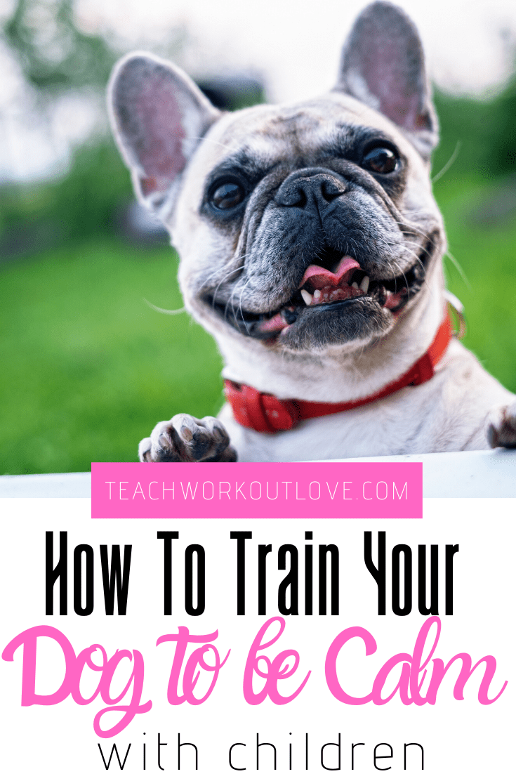 How-to-train-your-dog-to-be-calm-with-children-teachworkoutlove.com-TWL-Working-Moms