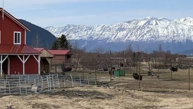 9 Family Friendly Activities To Do In and Around Anchorage, Alaska