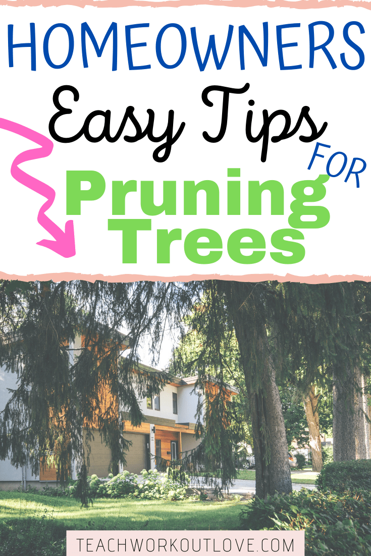 You can be pruning tall trees on your own but it's important to know exactly how so that it's effective and safe for the tree and everybody else.