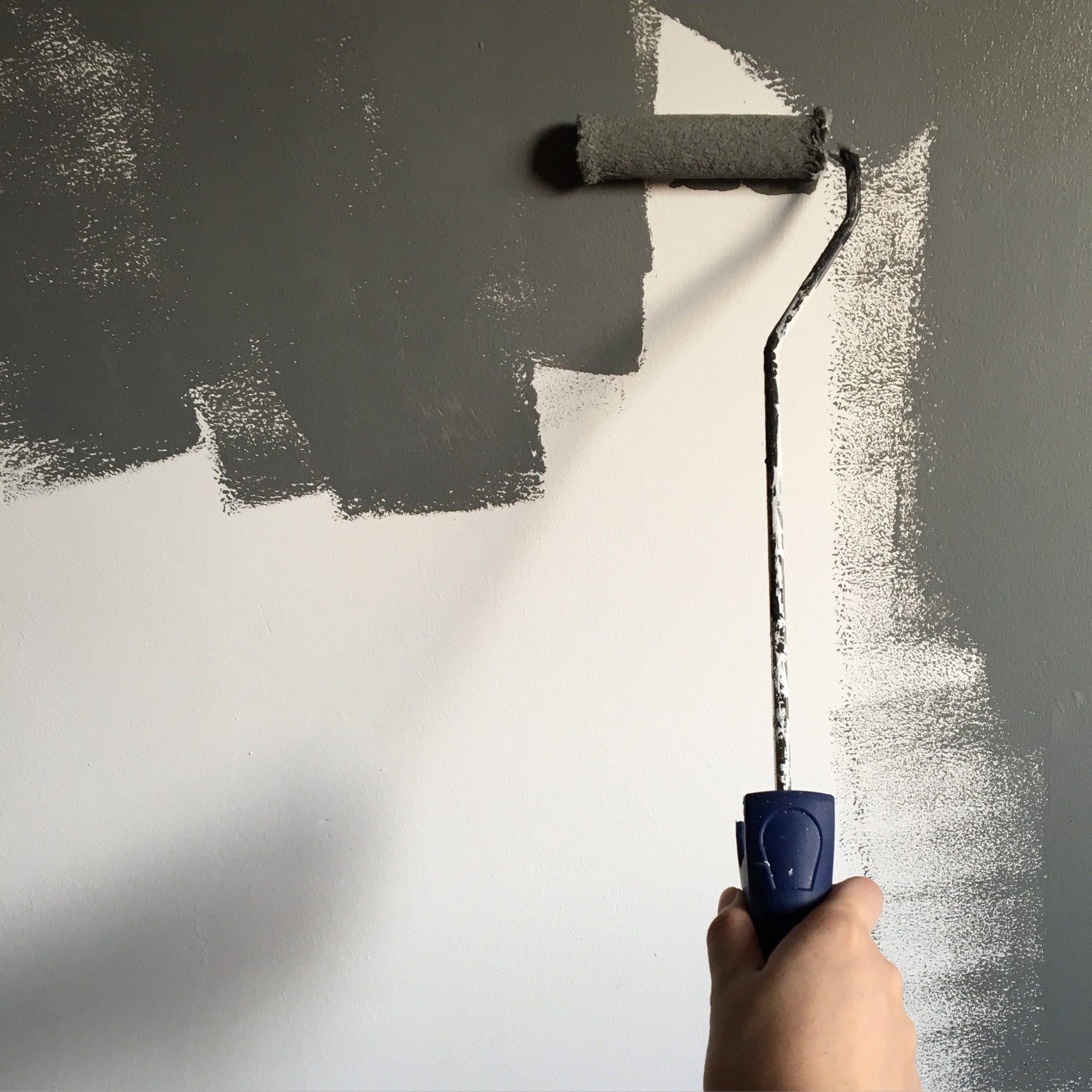 painter for homeowners