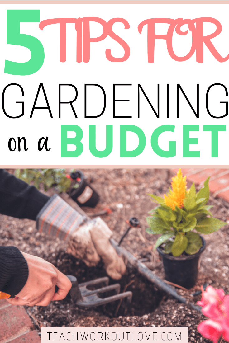 Want to know how to turn a money-draining garden into a money-saving one? Read on if you want to learn more about gardening on a budget successfully!