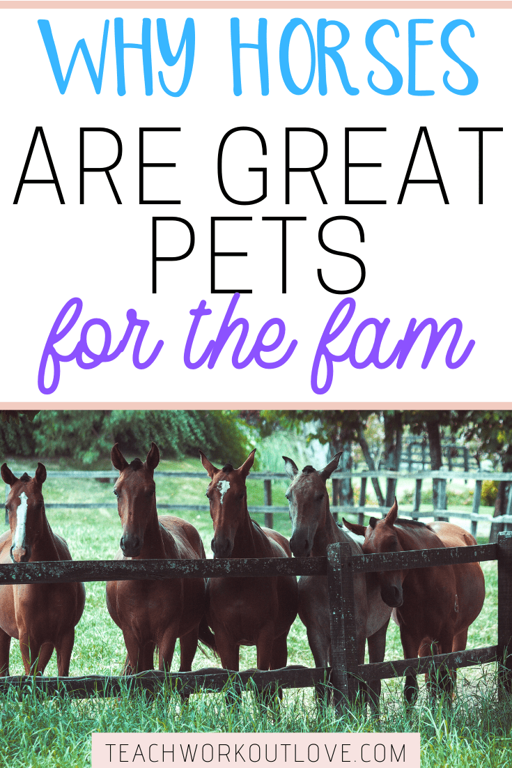 There are some powerful reasons for choosing a horse as your next family pet. Here's some benefits that you and your children will get by doing this.
