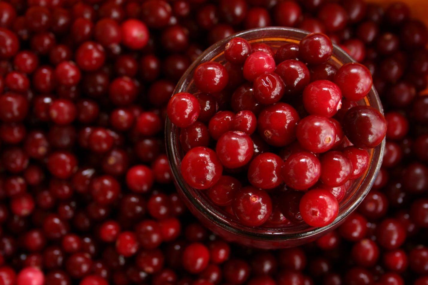 pomegranite