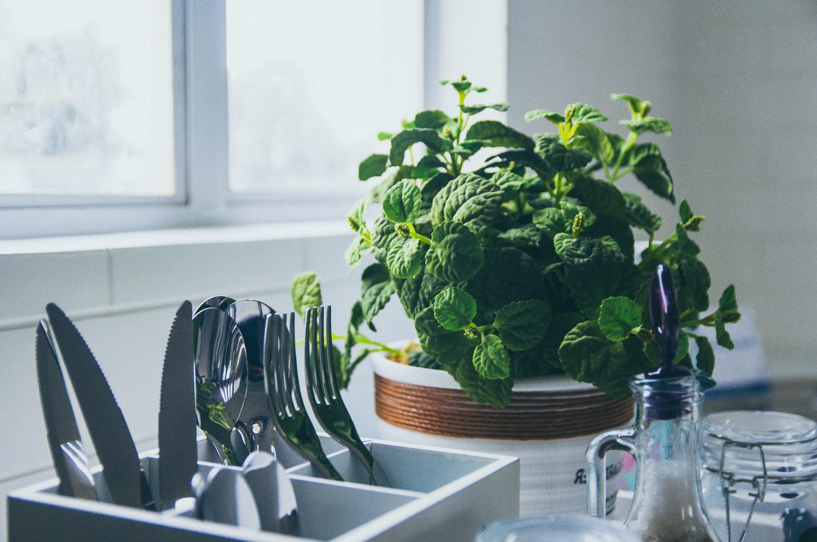 6 Super Simple Ways to Create a More Eco-Friendly Apartment | T.W.L