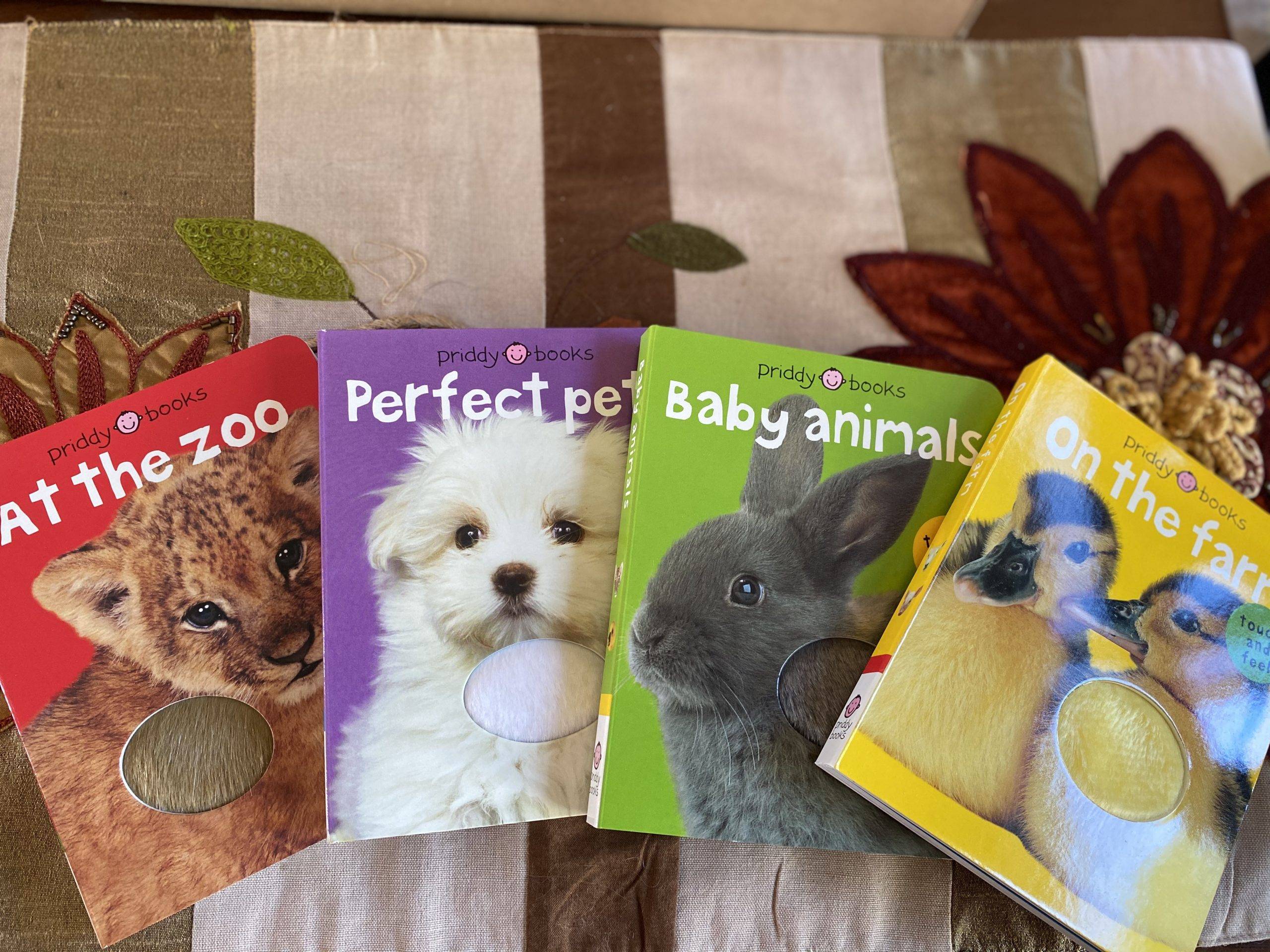 sensory books for developmental milestones