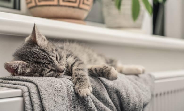 10 Energy-Saving Methods to Lower Heating Bills