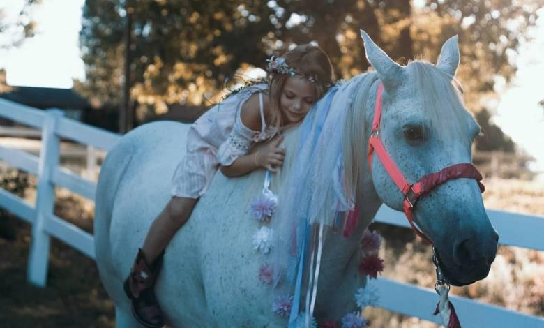 girl is resting on a white horse