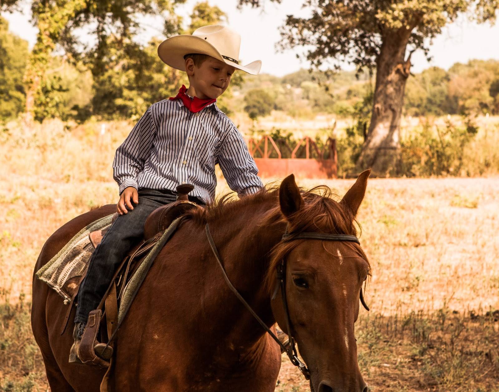 little cowboy is petting a horse