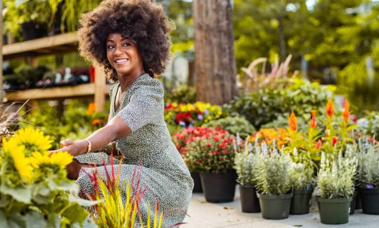 8 Best Shrubs to Grow in Your Garden