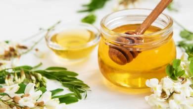 Honey for Kids – Health Benefits and Precautions You Should Know.