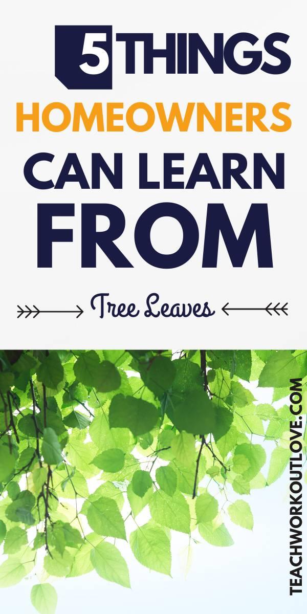 Leaves are often the first thing you notice about trees. Healthy leaves should be vibrant and full. Here's what to look for. 