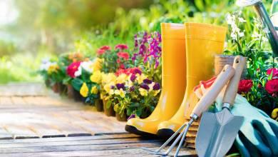 Spring to Summer: How to Get Your Garden and Trees Ready!