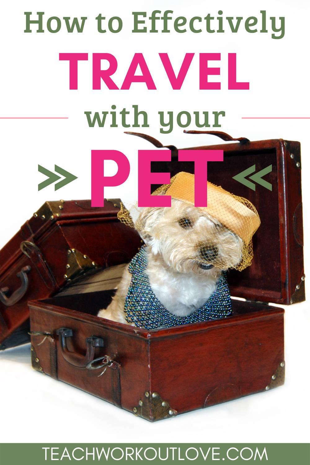 Will you be traveling with your pet soon? Here are a few tips to make traveling with your pet a little easier for everyone.