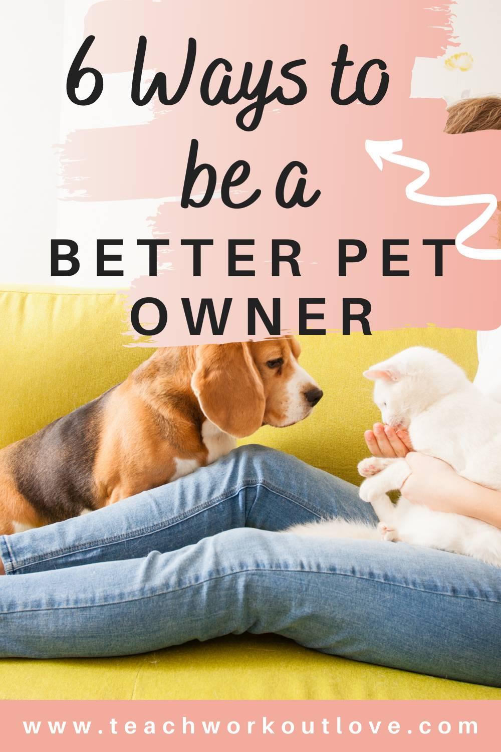 Having a pet sounds exciting and entertaining.But taking care of them is a big responsibility.Here's tips that'll help you be a better pet parent.