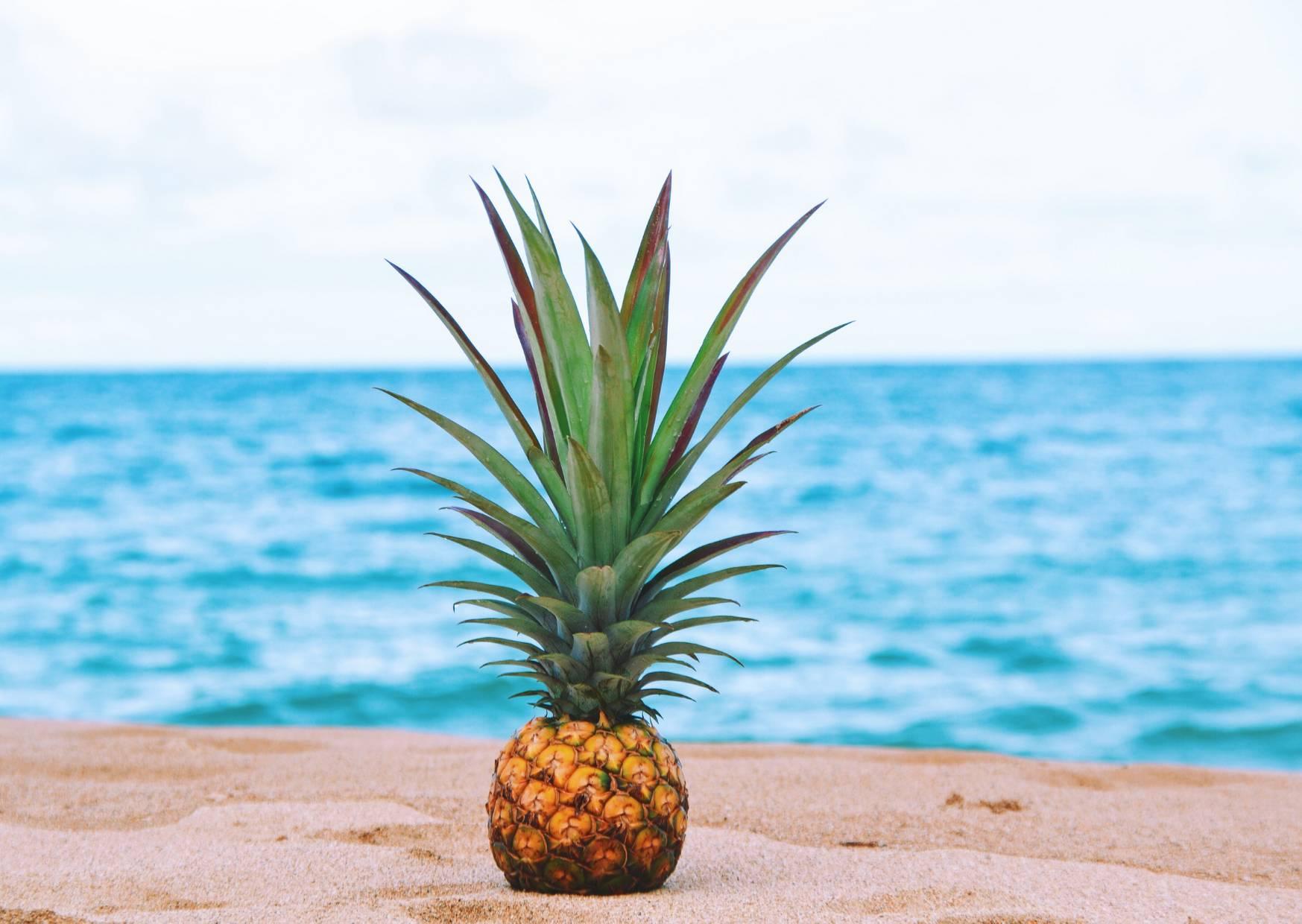 How Much Does Shipping Car to Hawaii Cost? Teach.Workout.Love