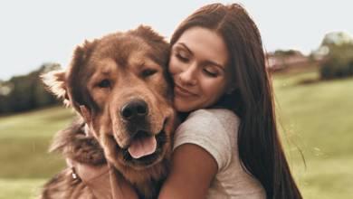 6 Ways Help You to Be A Better Pet Parent