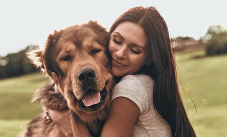 6 Ways Help You to Be A Better Pet Parent