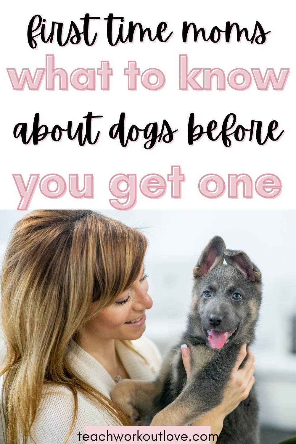 Thinking about having a dog? Here are the 6 Things Every First Time Mom Should Know About Dogs! Check out and see which one you are missing!