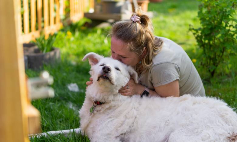 6 Things Every First Time Mom Should Know About Dogs