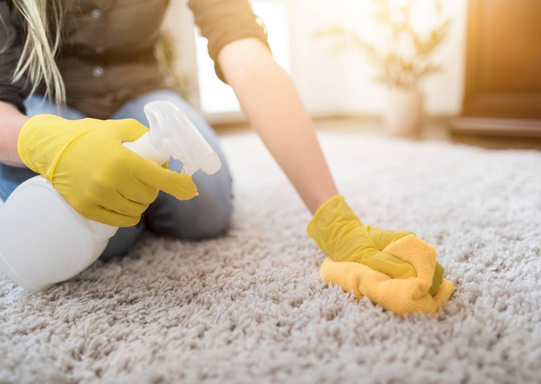 cleaning the carpets