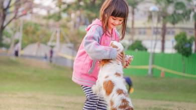 Puppies and Children: How to encourage safe play