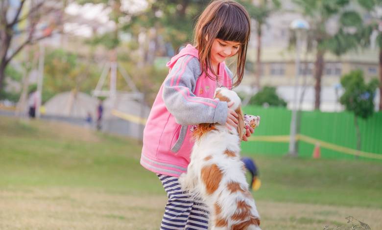 Puppies and Children: How to encourage safe play