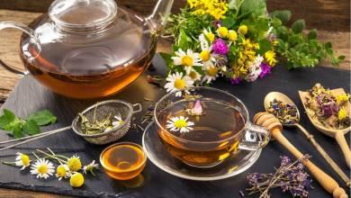 8 Herbal Teas for Lactating Mothers