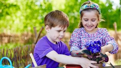 3 Garden Equipment That Can Help Your Kids Exercise